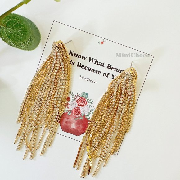 Crystal Ponytail with Beads Long Tassel Chain Earrings - Picture 5 of 7